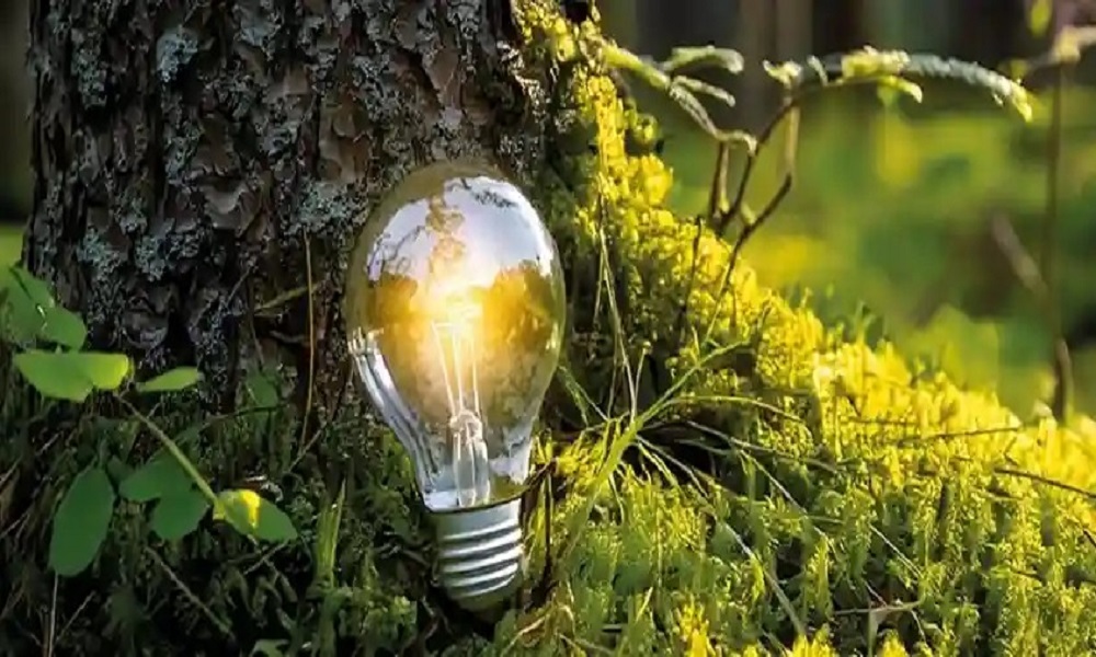 Södra’s Biomass Power Surplus Fuels 50,000 Homes