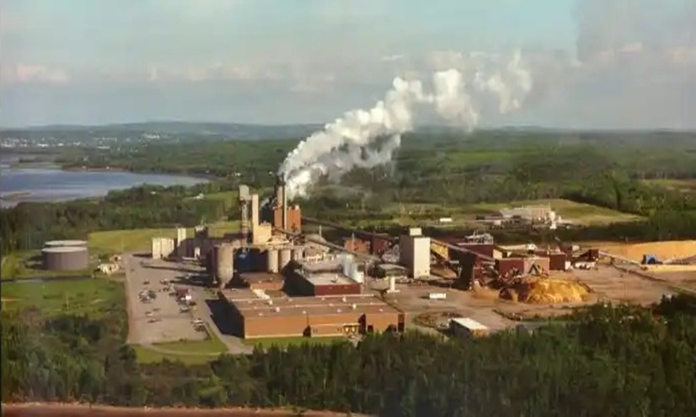 Northern Pulp Ends Mill Project in Nova Scotia