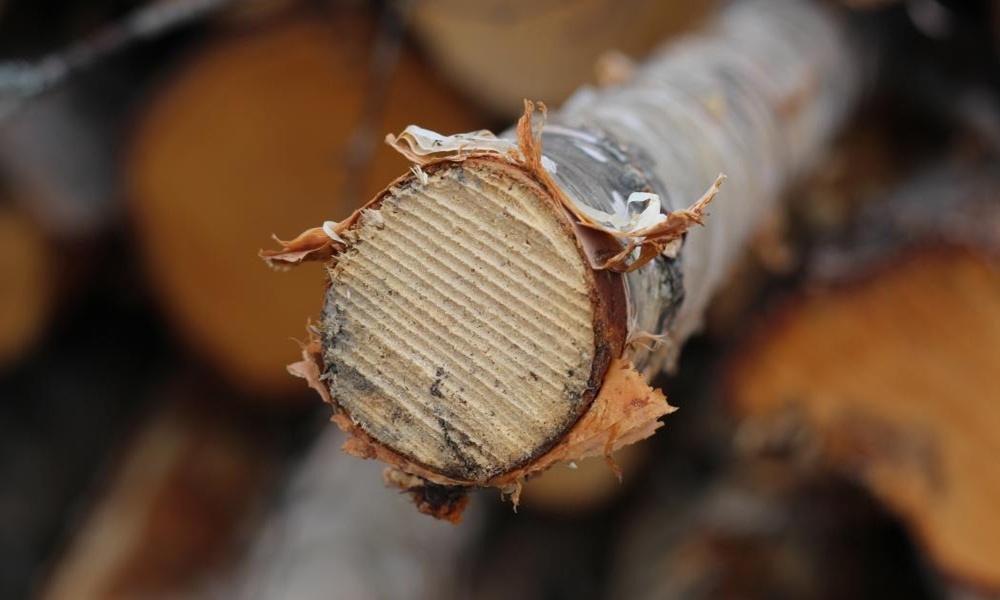 US Lumber Coalition: "Canada employs unfounded scare tactics"