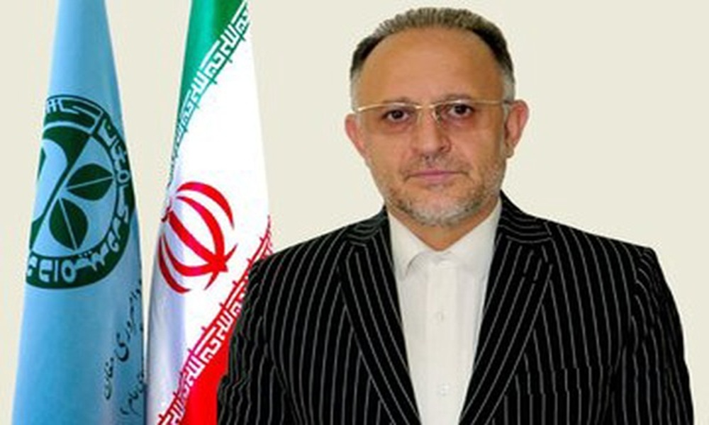 تثبیت سهمیه ۱۸ مگاواتی برای کارخانه چوب و کاغذ مازندران