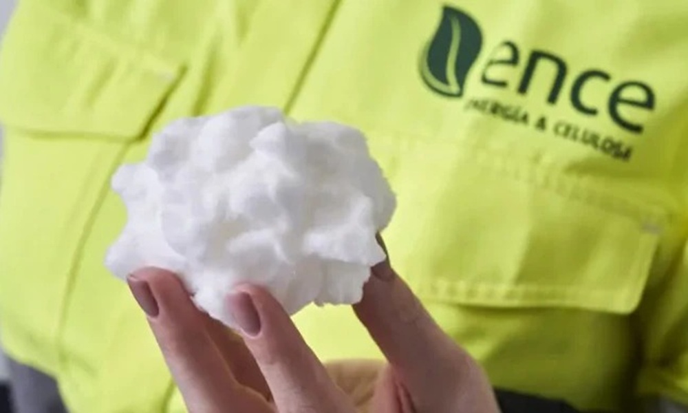 Ence Accelerates Transition to Specialty Pulps and Renewables